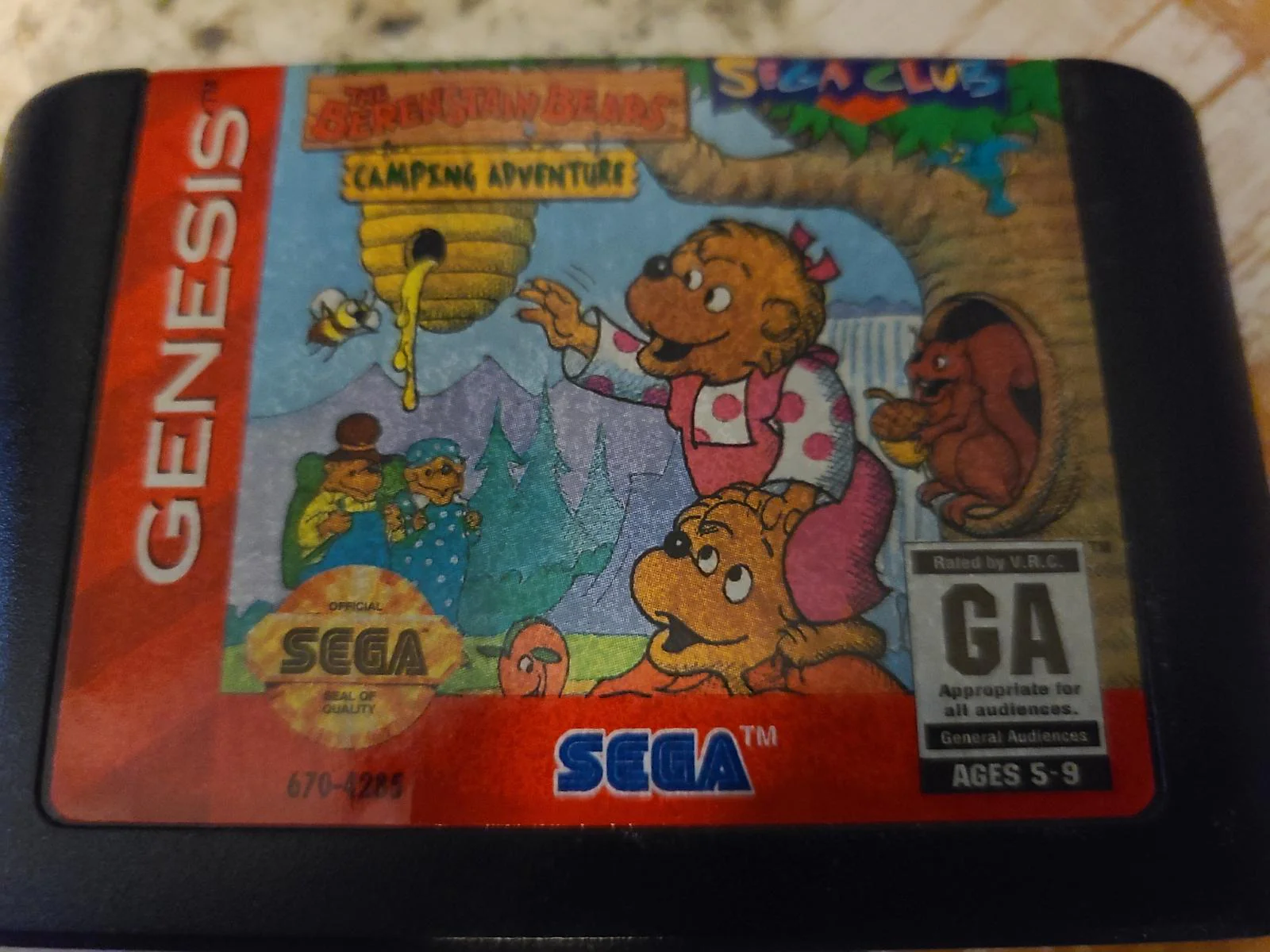 Berenstain Bears Camping Adventure - Image 5