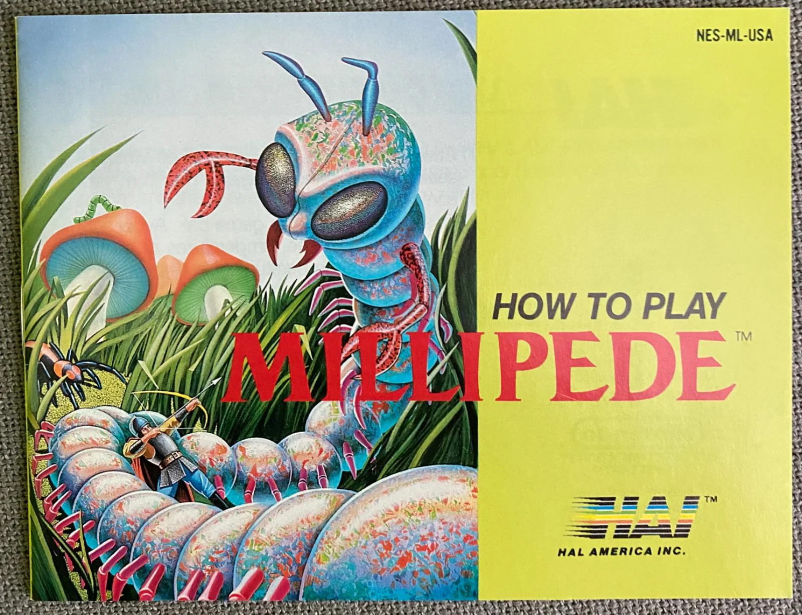 Millipede - Image 6